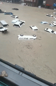 1735629771408862.gif