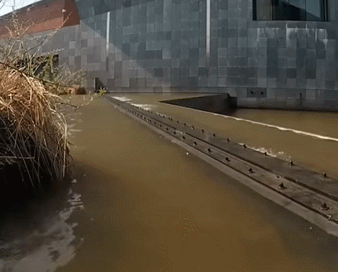 微信图片_20241231155357.gif