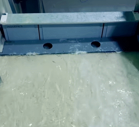 微信图片_20241231155540.gif