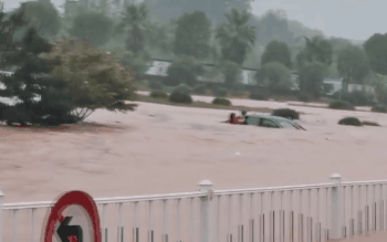 微信图片_20241231161030.gif